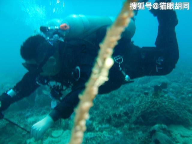 侠客前传