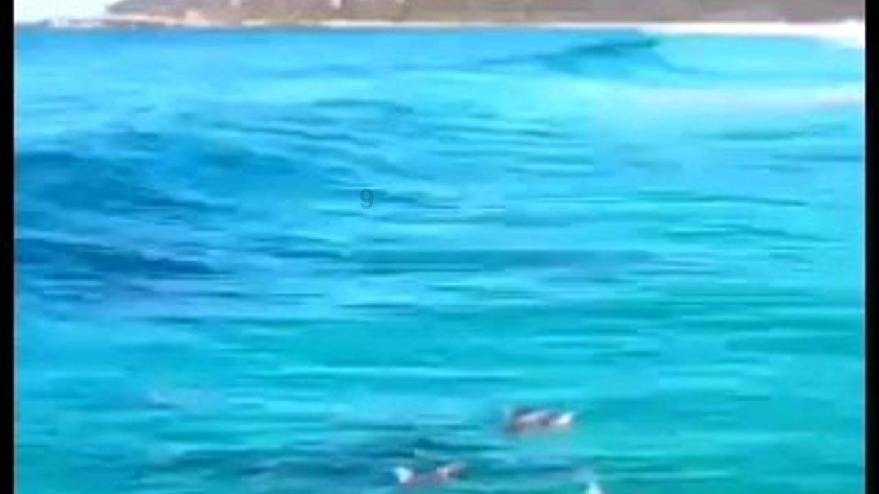 逃离伊尔波的房屋